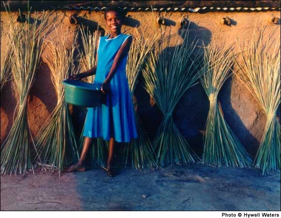 Zimbabwe - Photographs by Hywell Waters