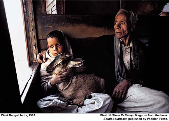 Photograph by Steve McCurry