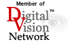 The Digital Vision Network