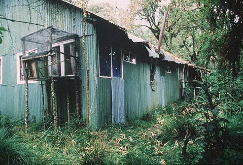 Diane Fossey's home - Photo by Murray Close